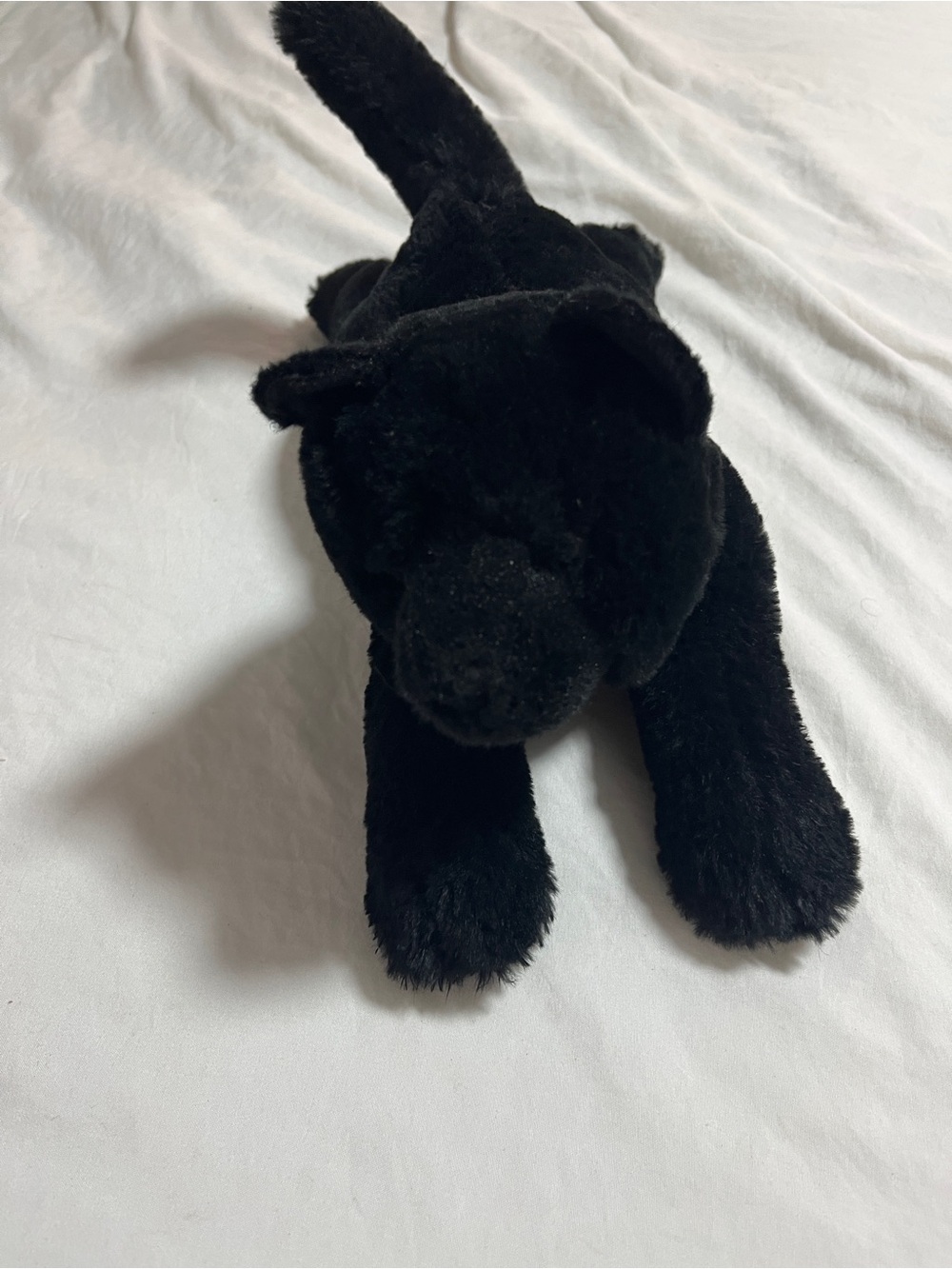 Douglas plush cat Halloween stuffy kids toy soft kitty animal